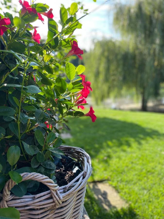 Gemuetliches Fachwerkhaus Am See Mit Kamin Warendorf Buitenkant foto