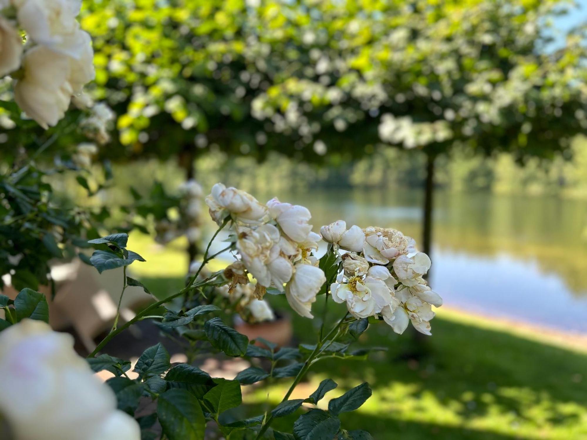 Gemuetliches Fachwerkhaus Am See Mit Kamin Warendorf Buitenkant foto