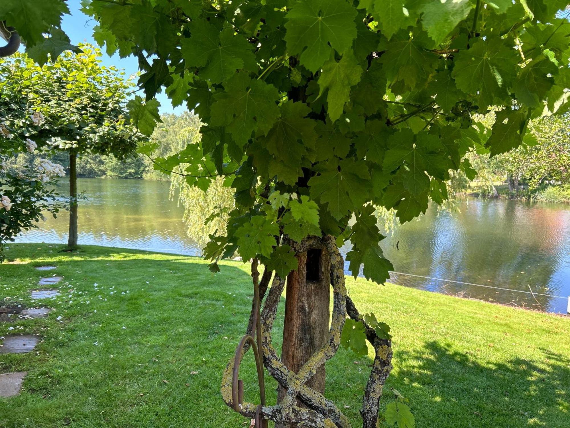 Gemuetliches Fachwerkhaus Am See Mit Kamin Warendorf Buitenkant foto